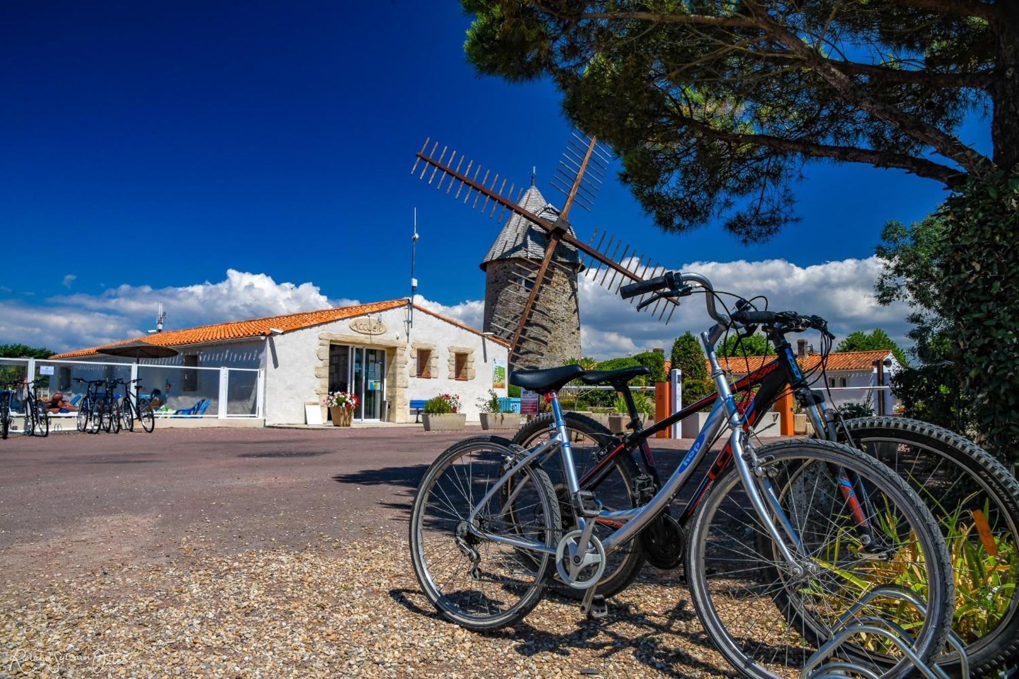 Camping Le Moulin De La Salle Ле-Сабль-д’Олон Экстерьер фото